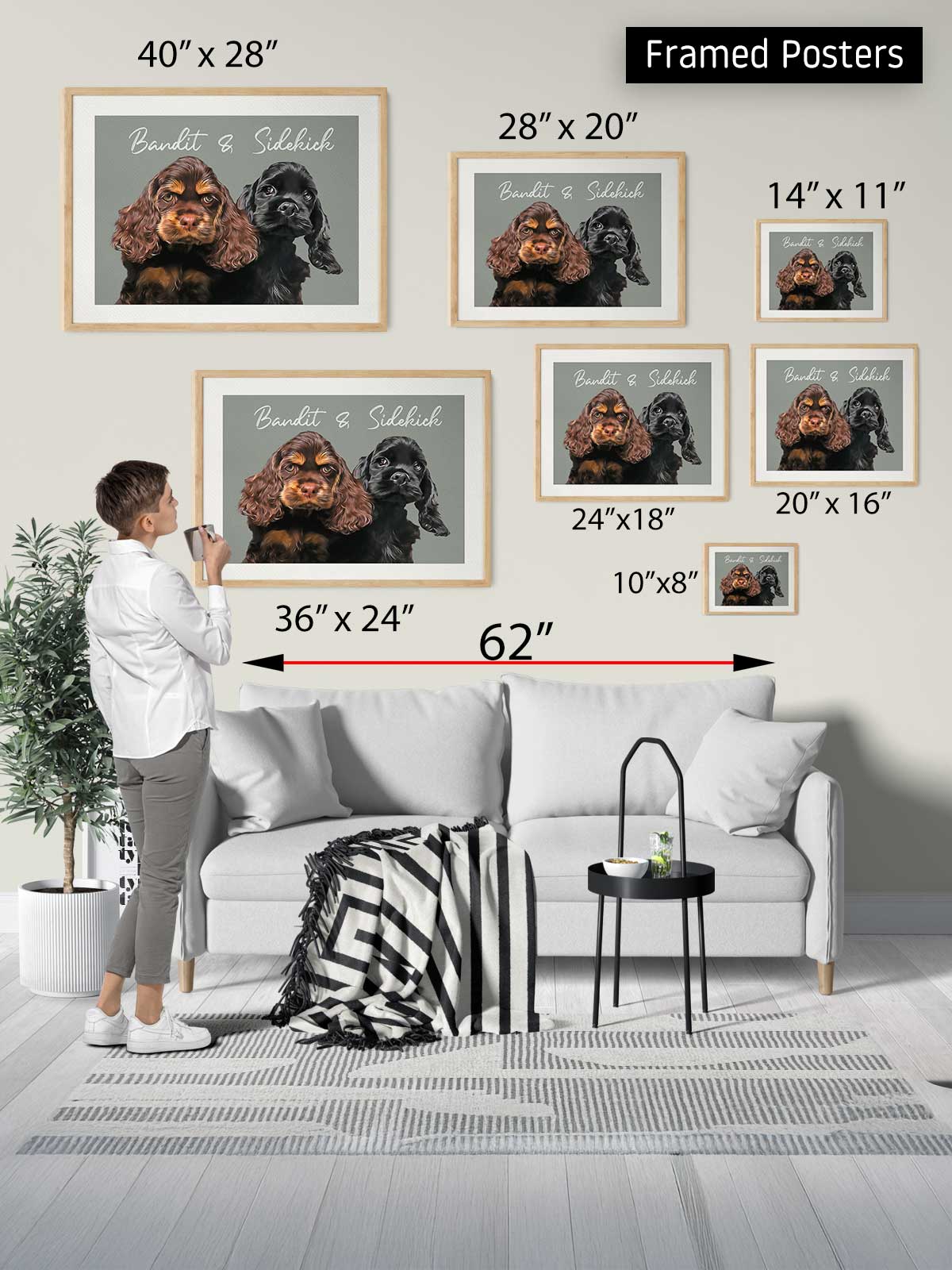 The image is a framed poster display in a living room, featuring a person standing next to a white couch. The poster displays images of cocker spaniels, and the person is measuring the poster sizes.