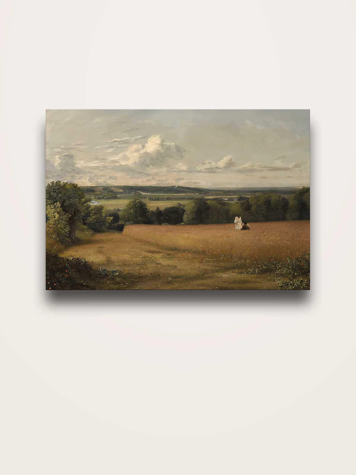 [14]-Main-Image-v3-(Canvas)