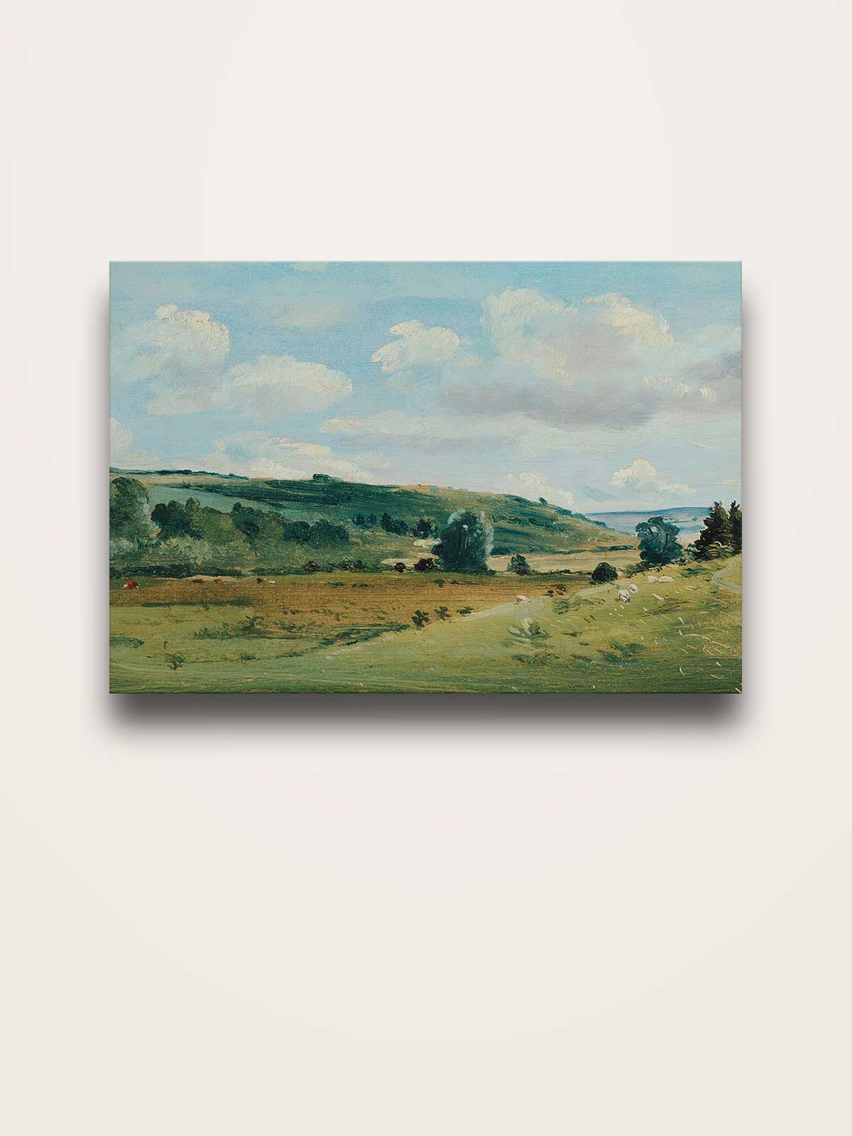 [14]-Main-Image-v3-(Canvas)