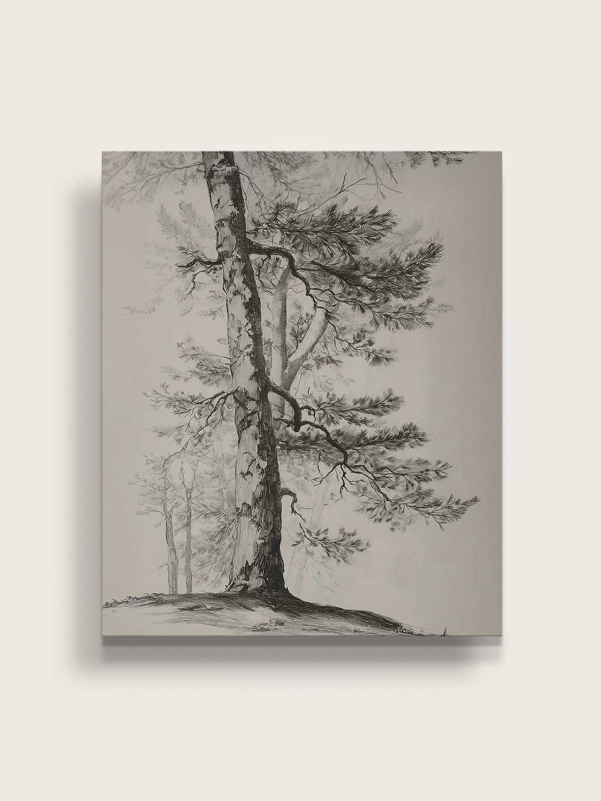 [14]-Main-Image-v3-(Canvas)