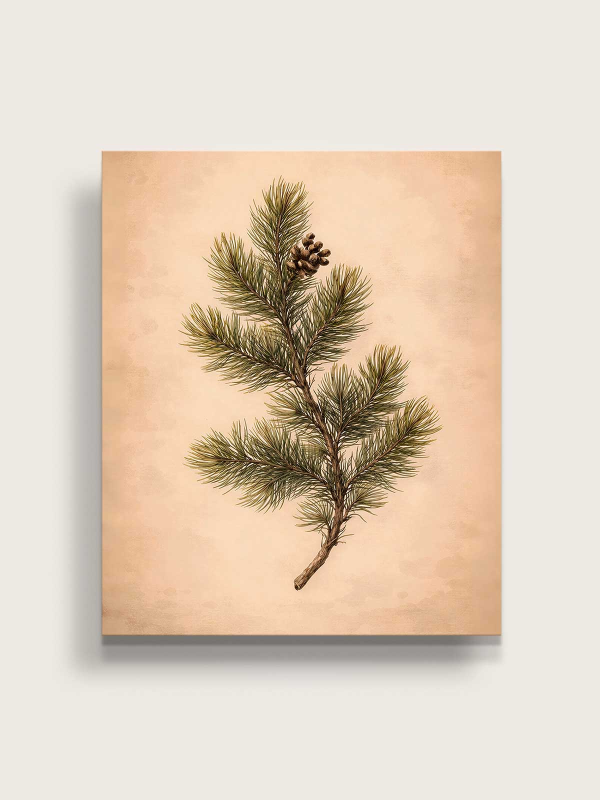 [14]-Main-Image-v3-(Canvas)