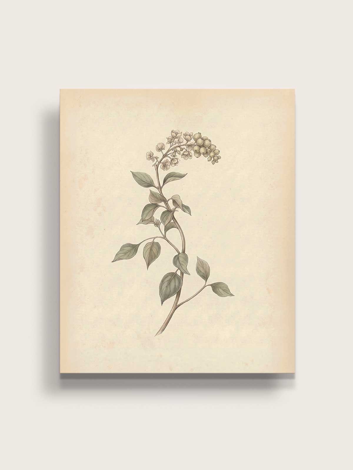 [14]-Main-Image-v3-(Canvas)