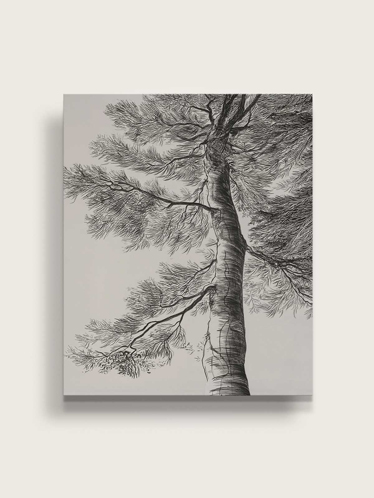 [14]-Main-Image-v3-(Canvas)