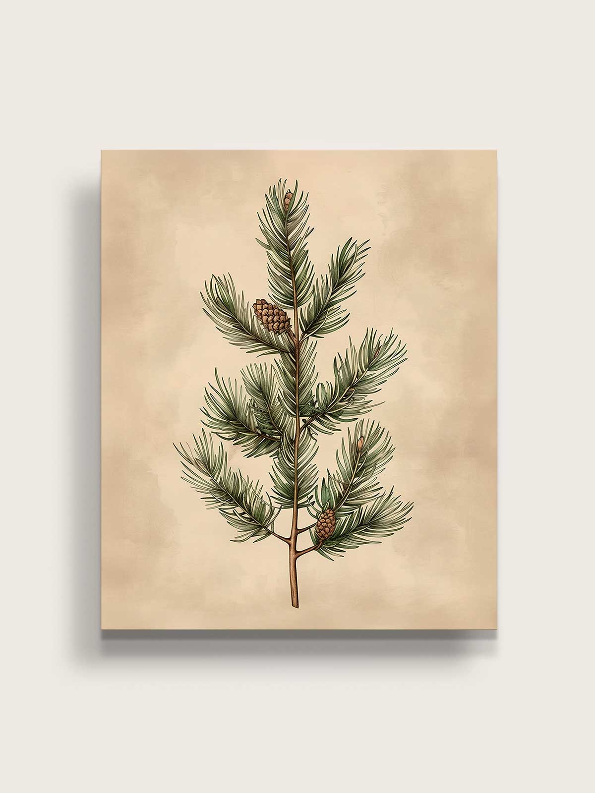 [14]-Main-Image-v3-(Canvas)