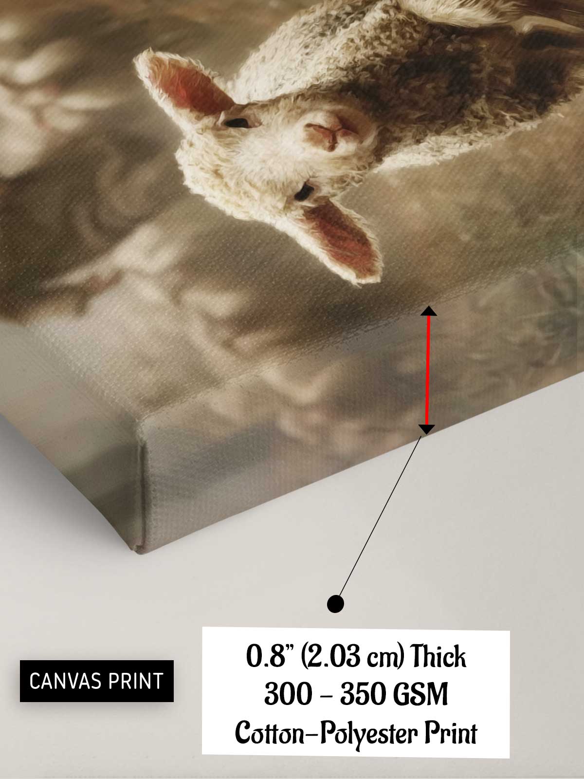 [15]--Canvas-Print---ClLOSEUP