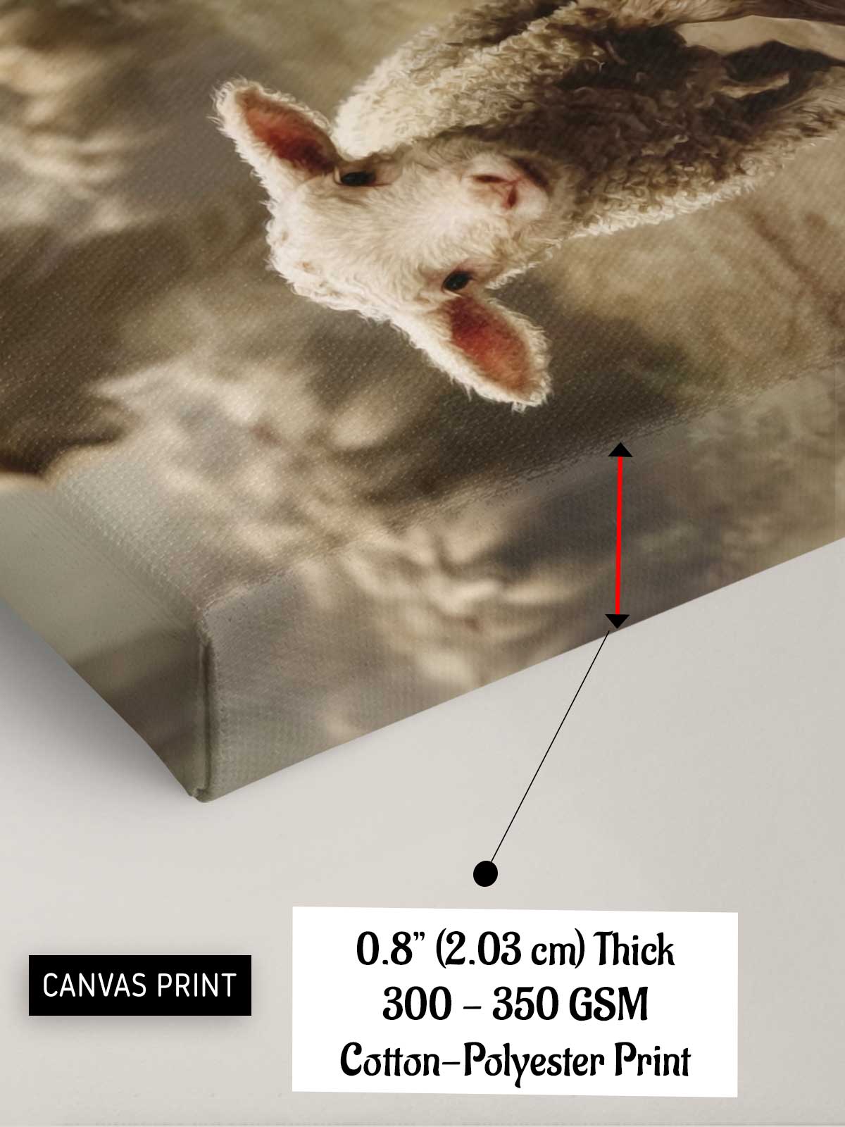 [15]--Canvas-Print---ClLOSEUP