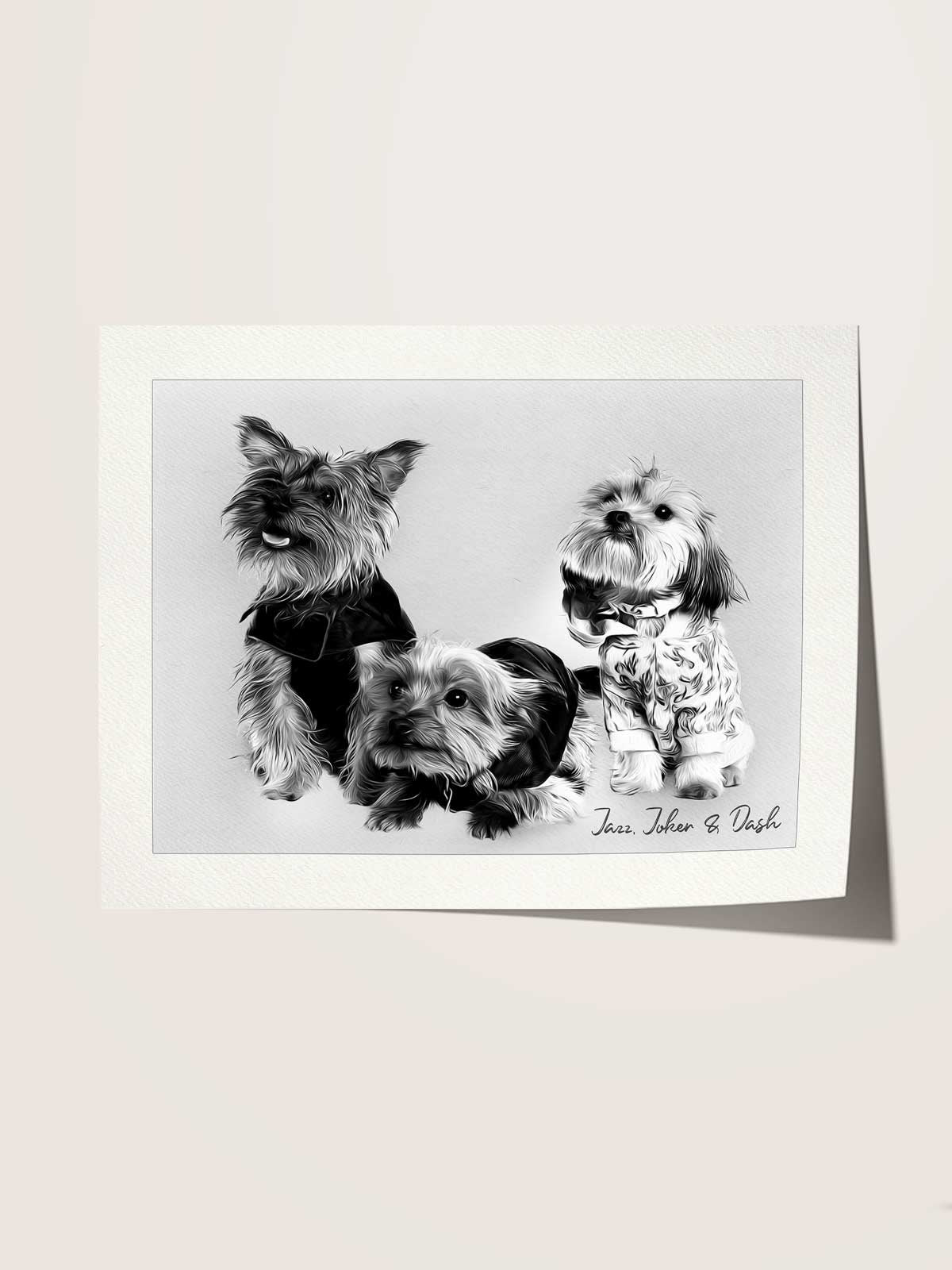 A black and white photograph of three dogs, including a small dog wearing a sweater and two dogs wearing collars.