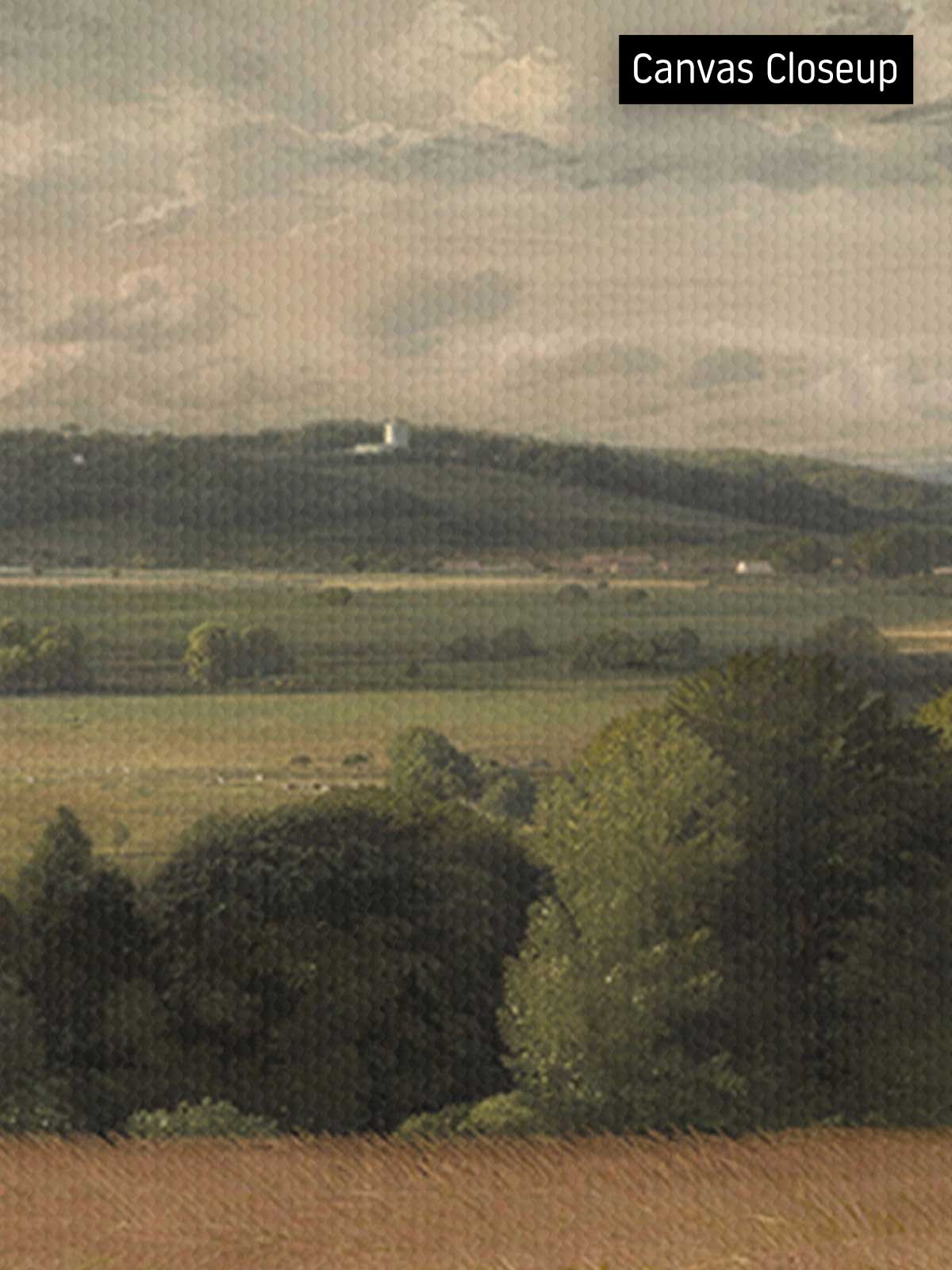 [18]-Closeup---Canvas-(Horizontal)
