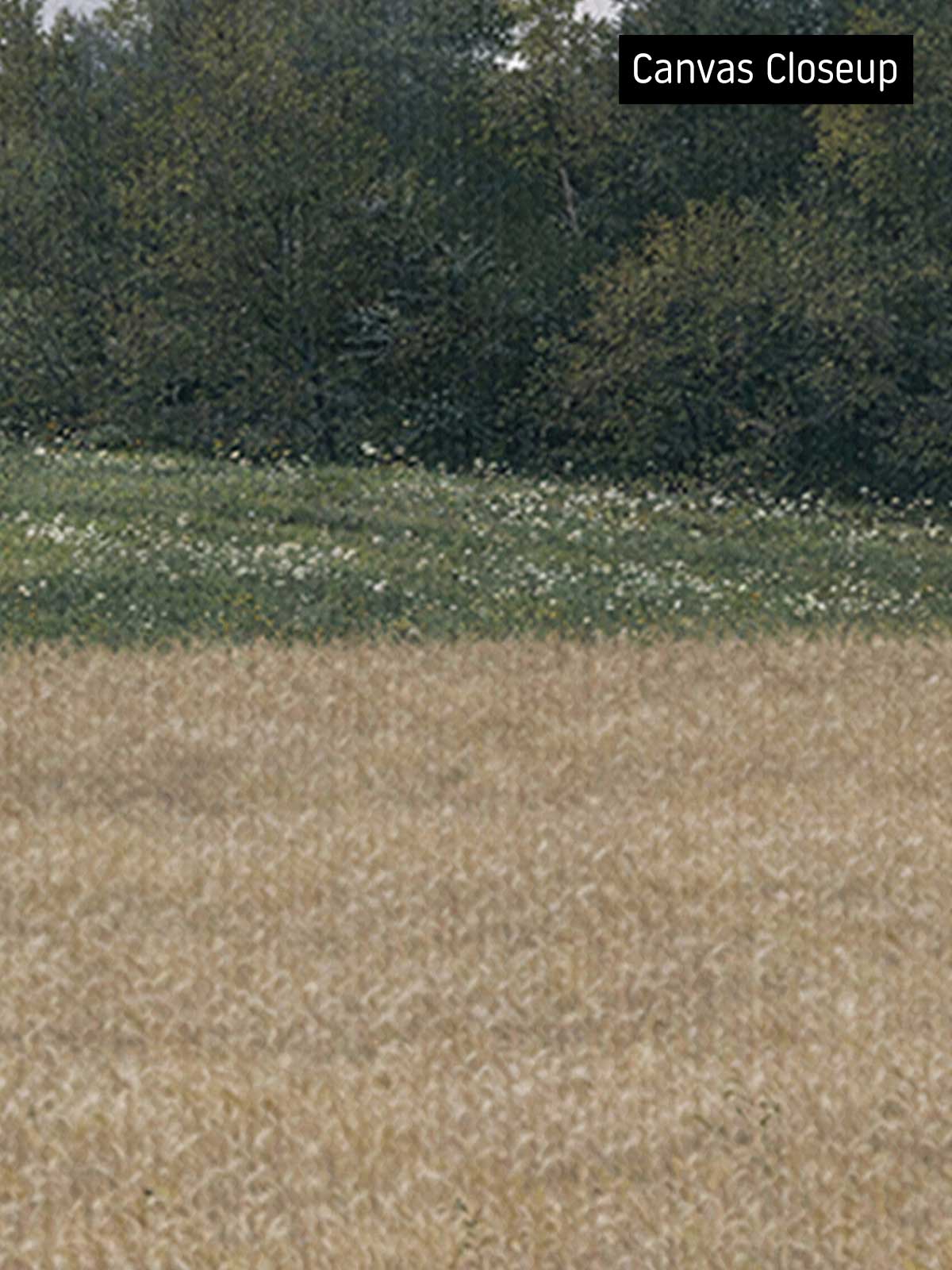[18]-Closeup---Canvas-(Horizontal)