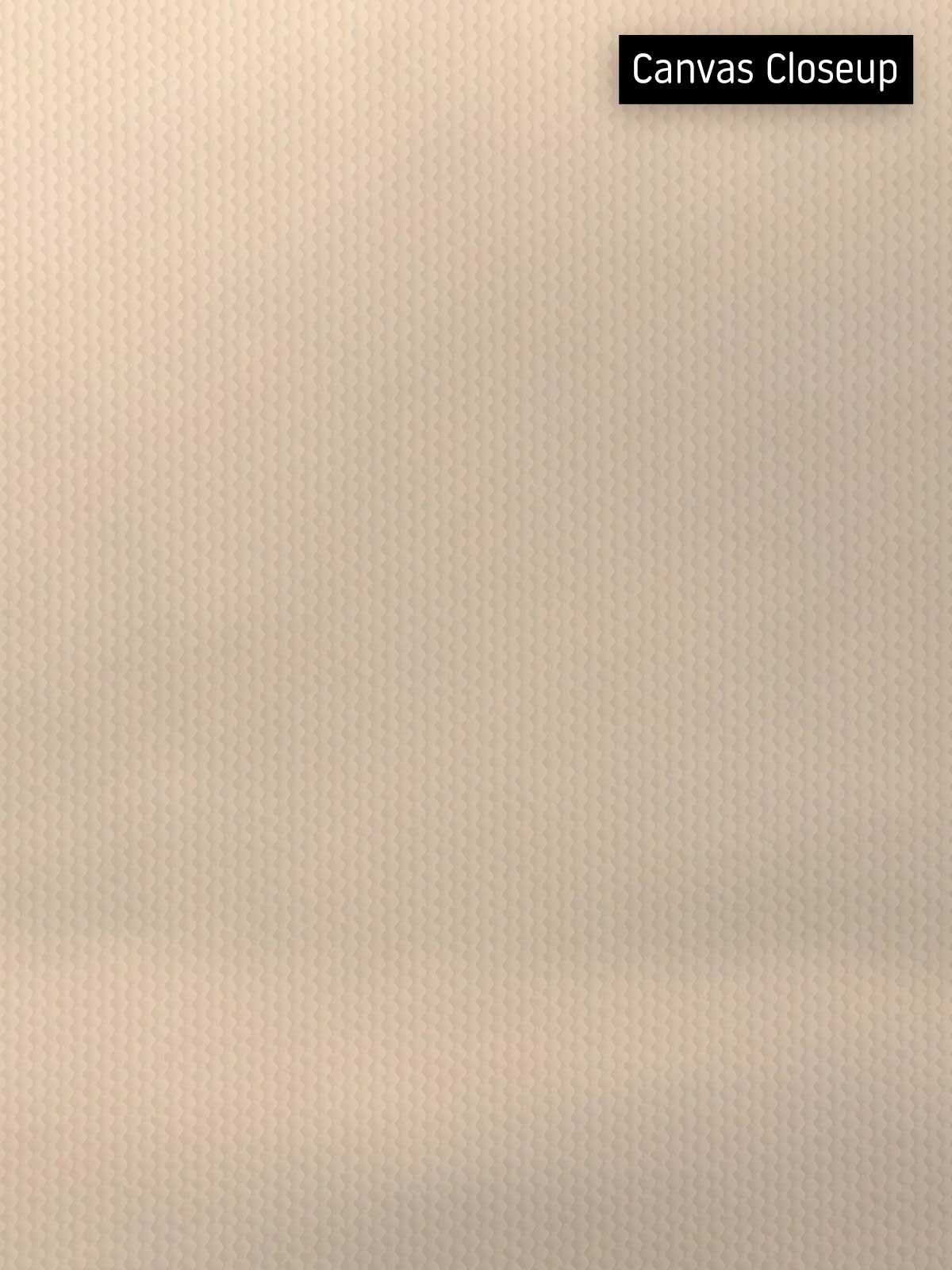 [18]-Closeup---Canvas-(Horizontal)