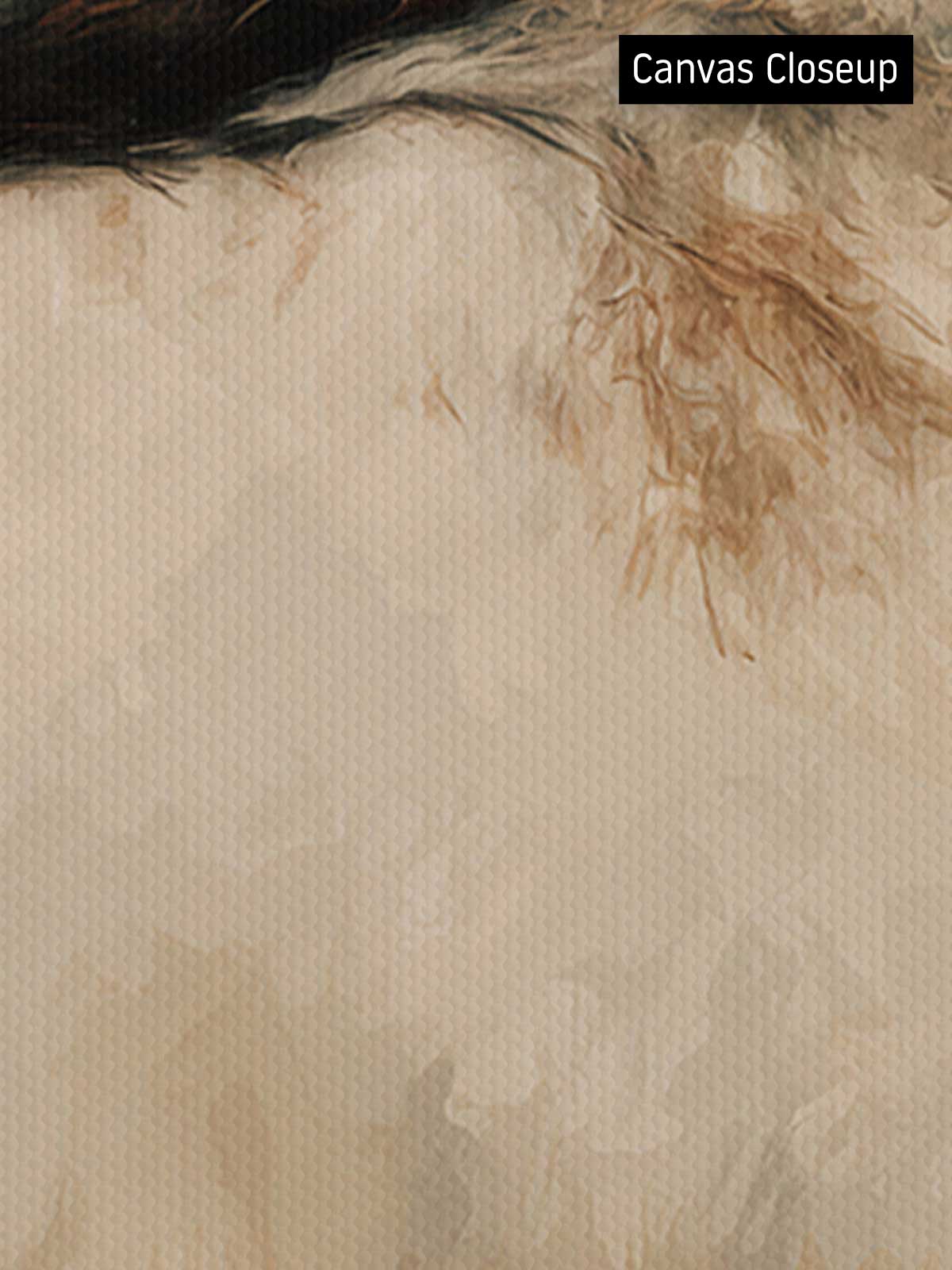 [18]-Closeup---Canvas-(Horizontal)