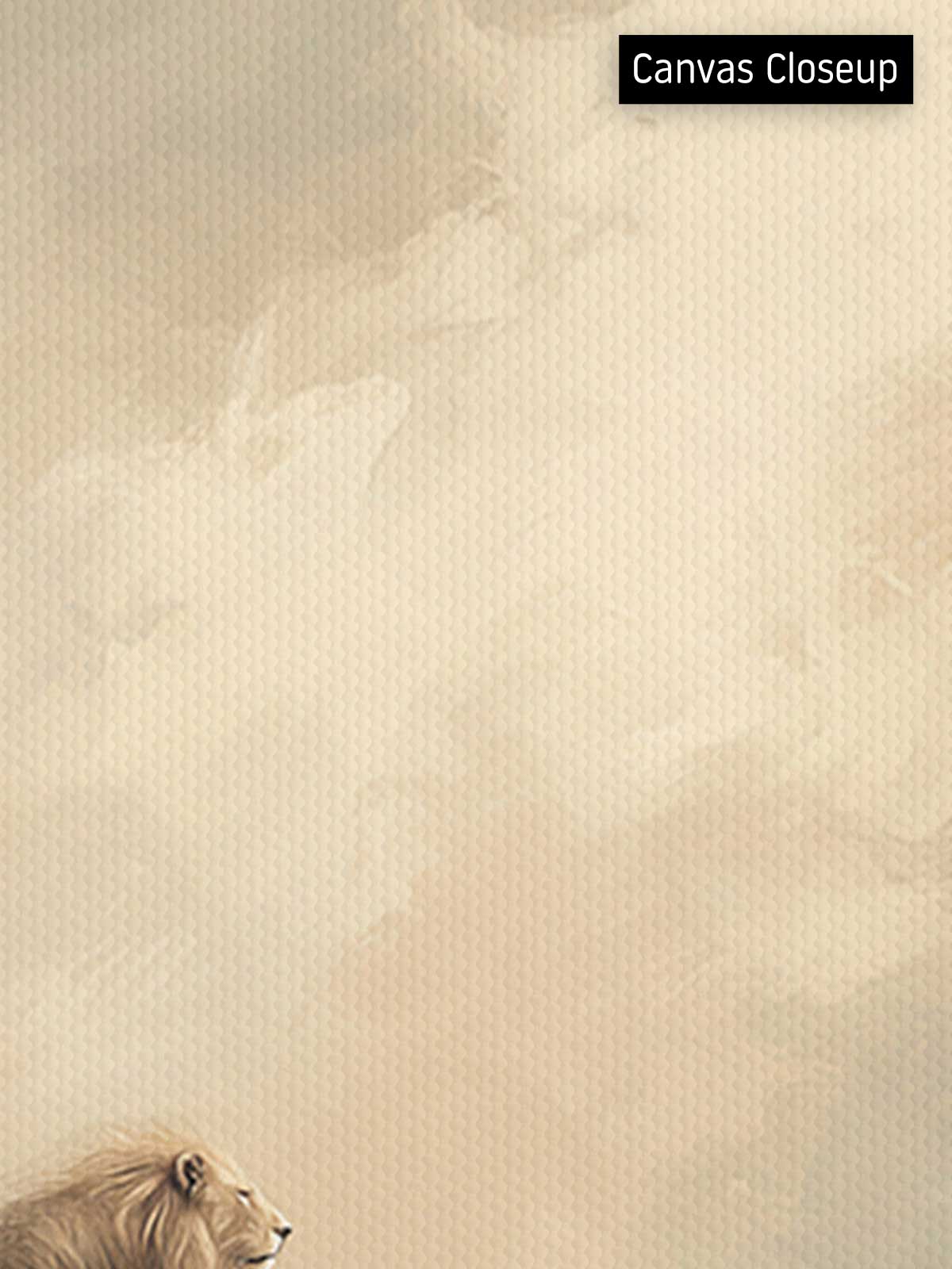 [18]-Closeup---Canvas-(Horizontal)