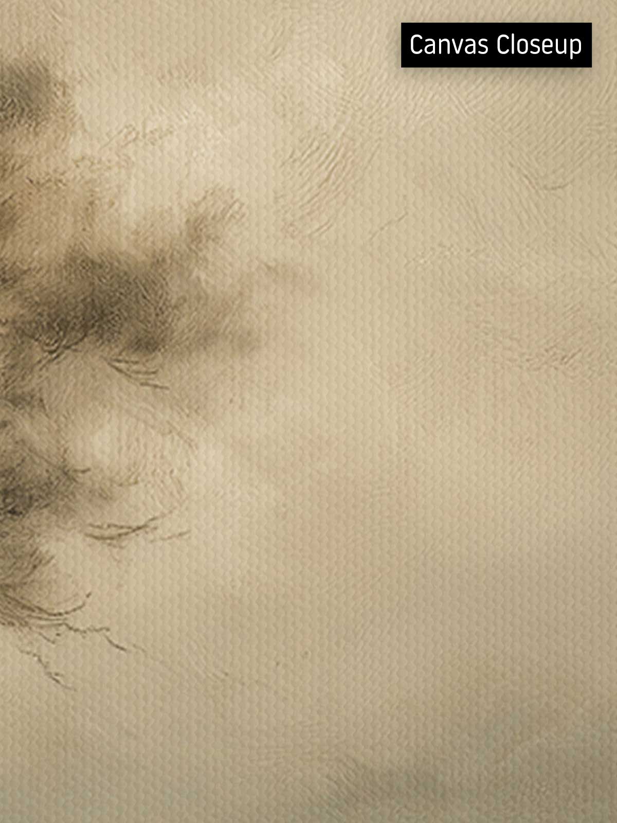 [18]-Closeup---Canvas-(Horizontal)