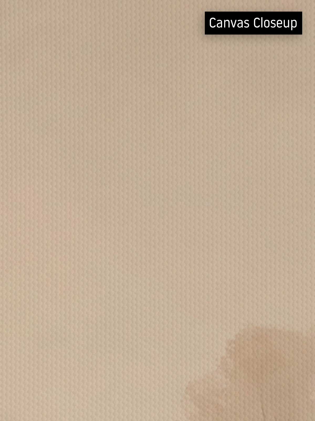 [18]-Closeup---Canvas-(Horizontal)