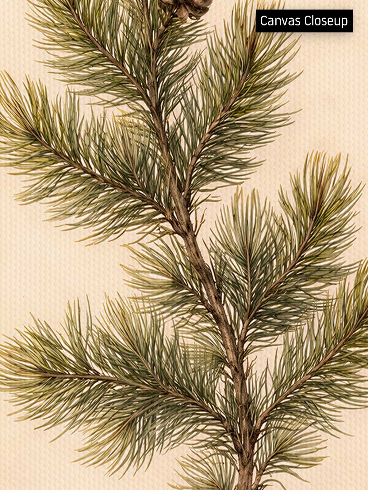 [18]-Closeup---Canvas-(Vertical)