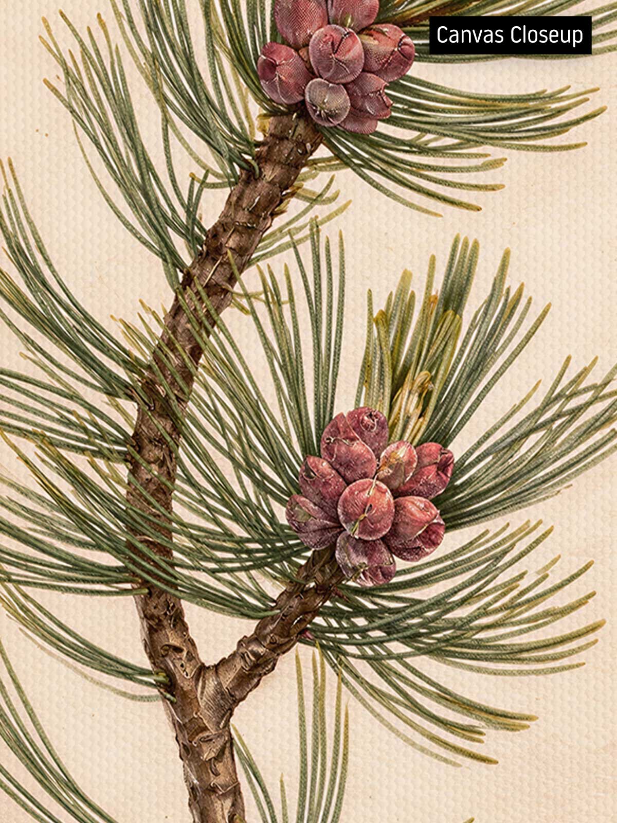 [18]-Closeup---Canvas-(Vertical)