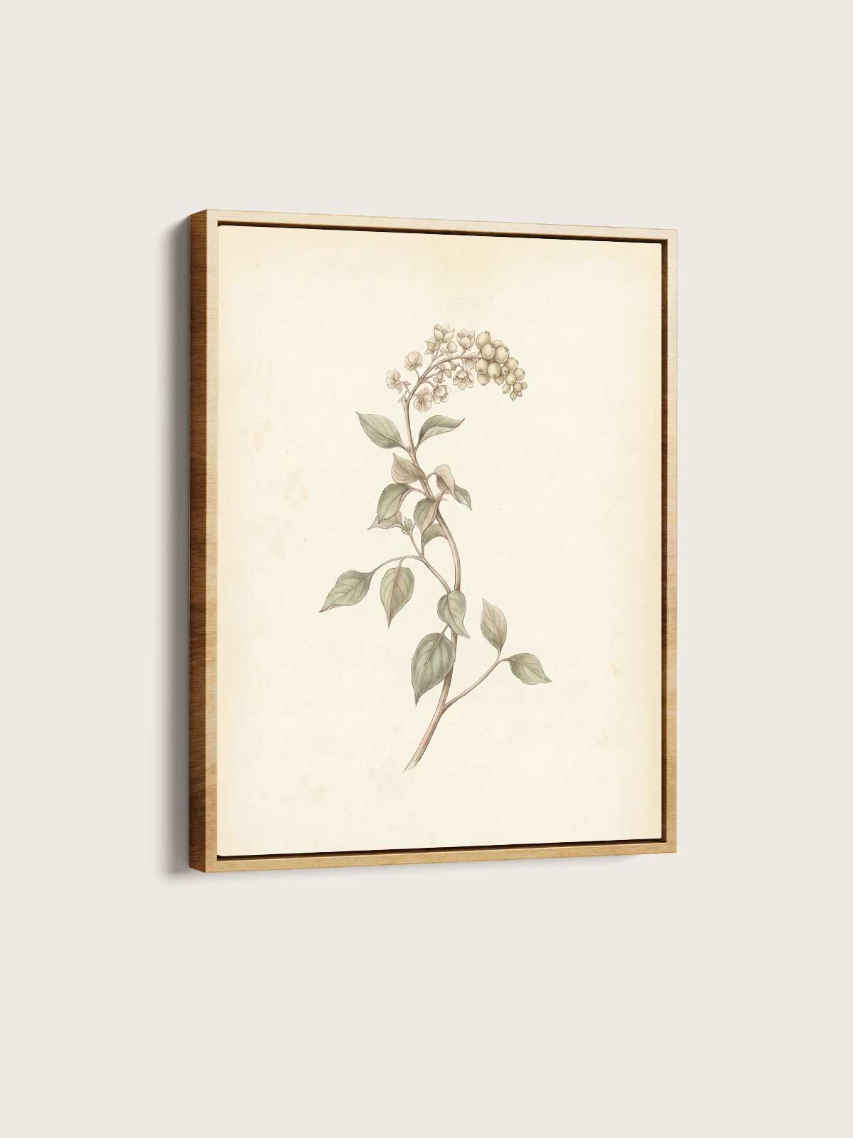[28]-Main-Image-v4--(Framed-Canvas)