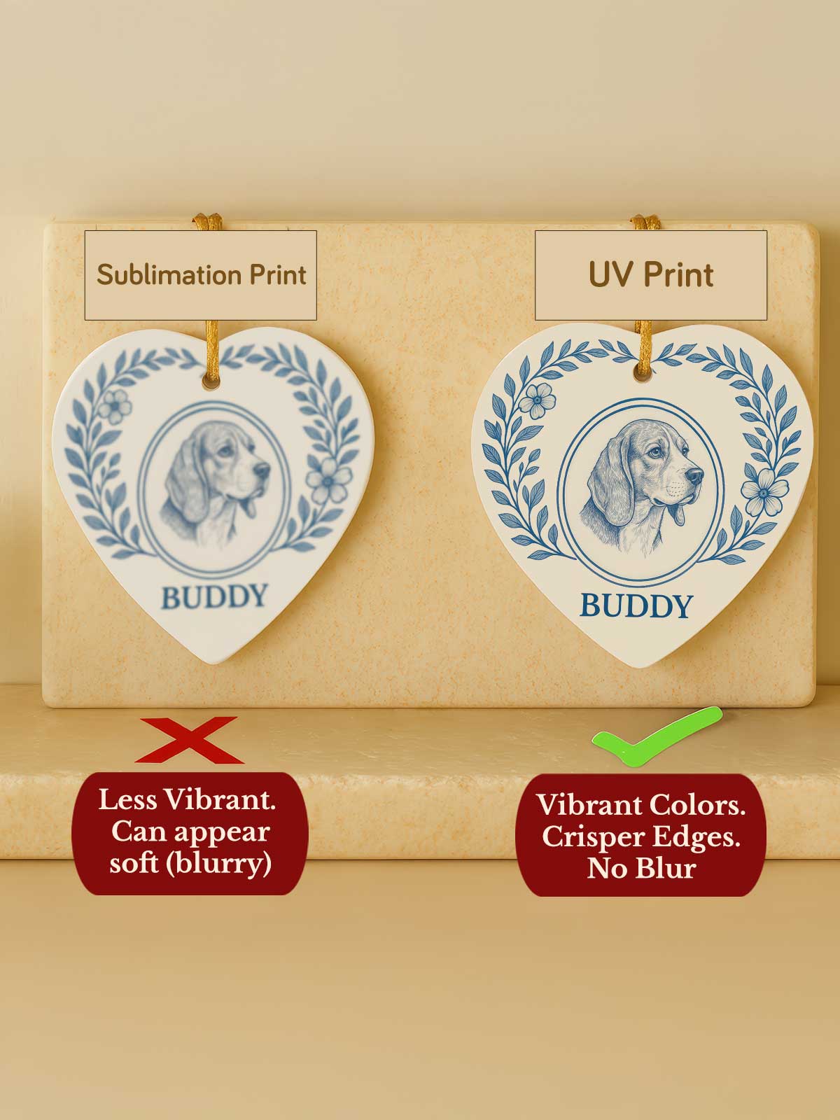 [2]-Main-13---Heart-Comparison