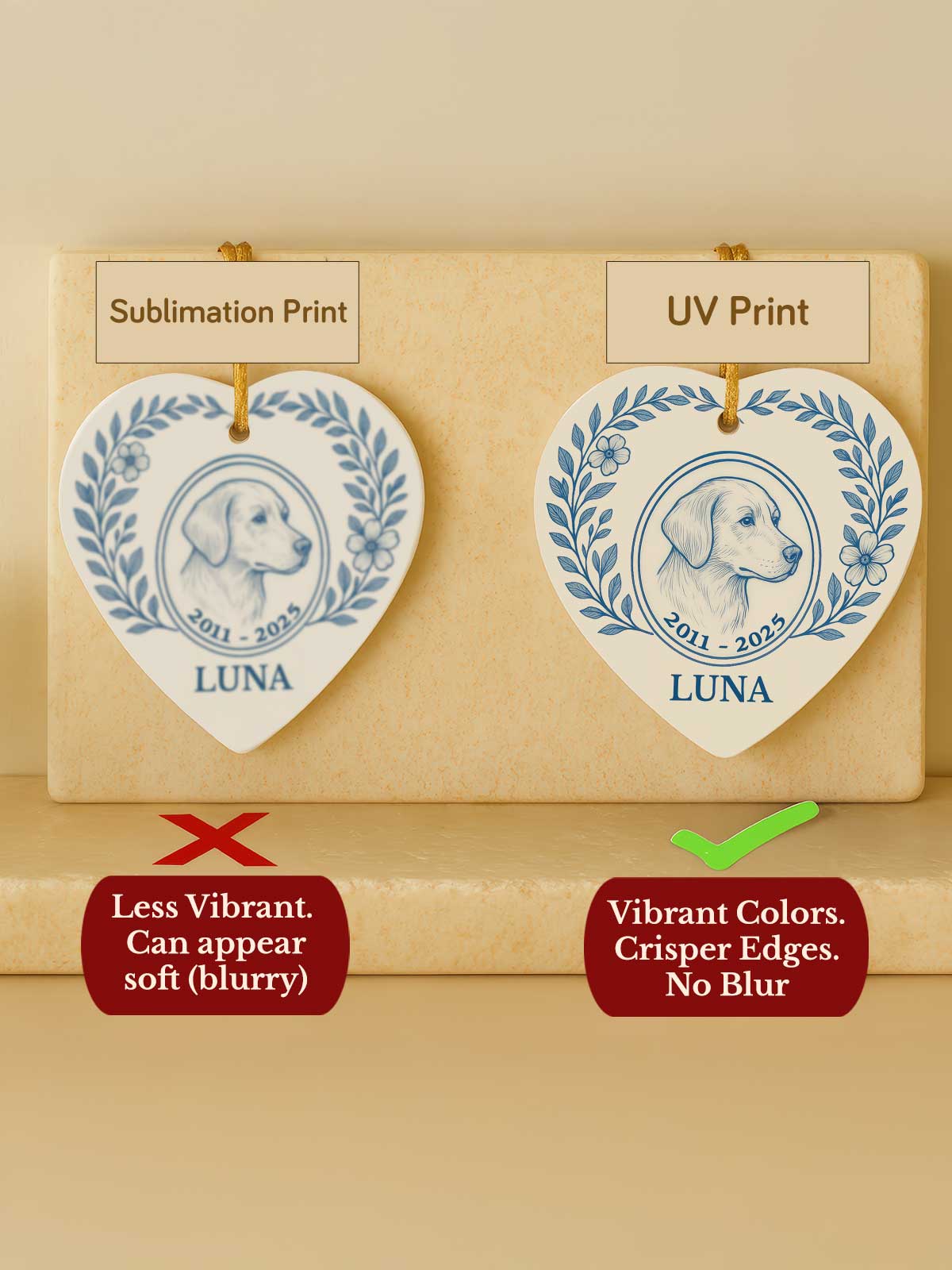 [2]-Main-13---Heart-Comparison