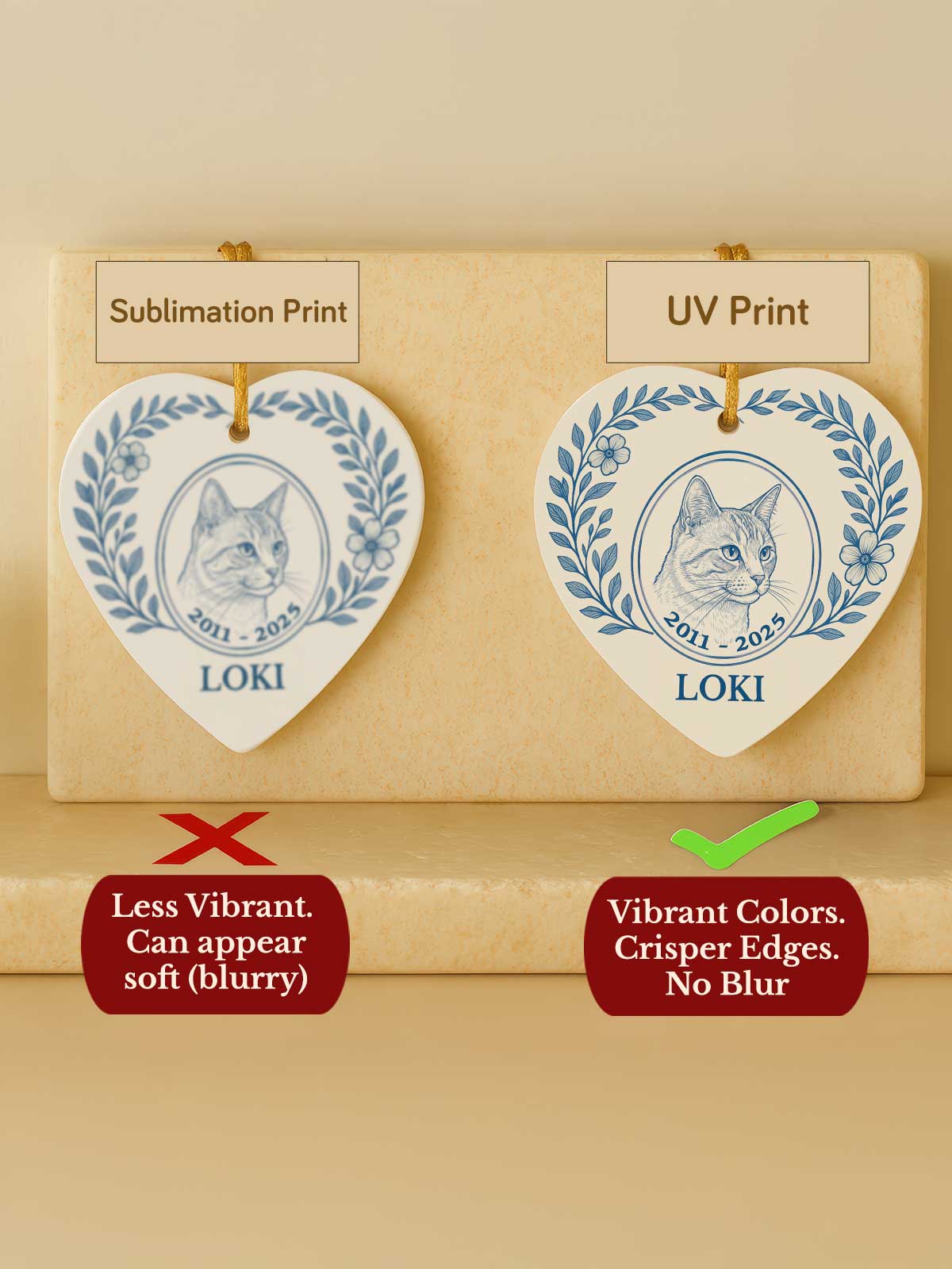 [2]-Main-13---Heart-Comparison