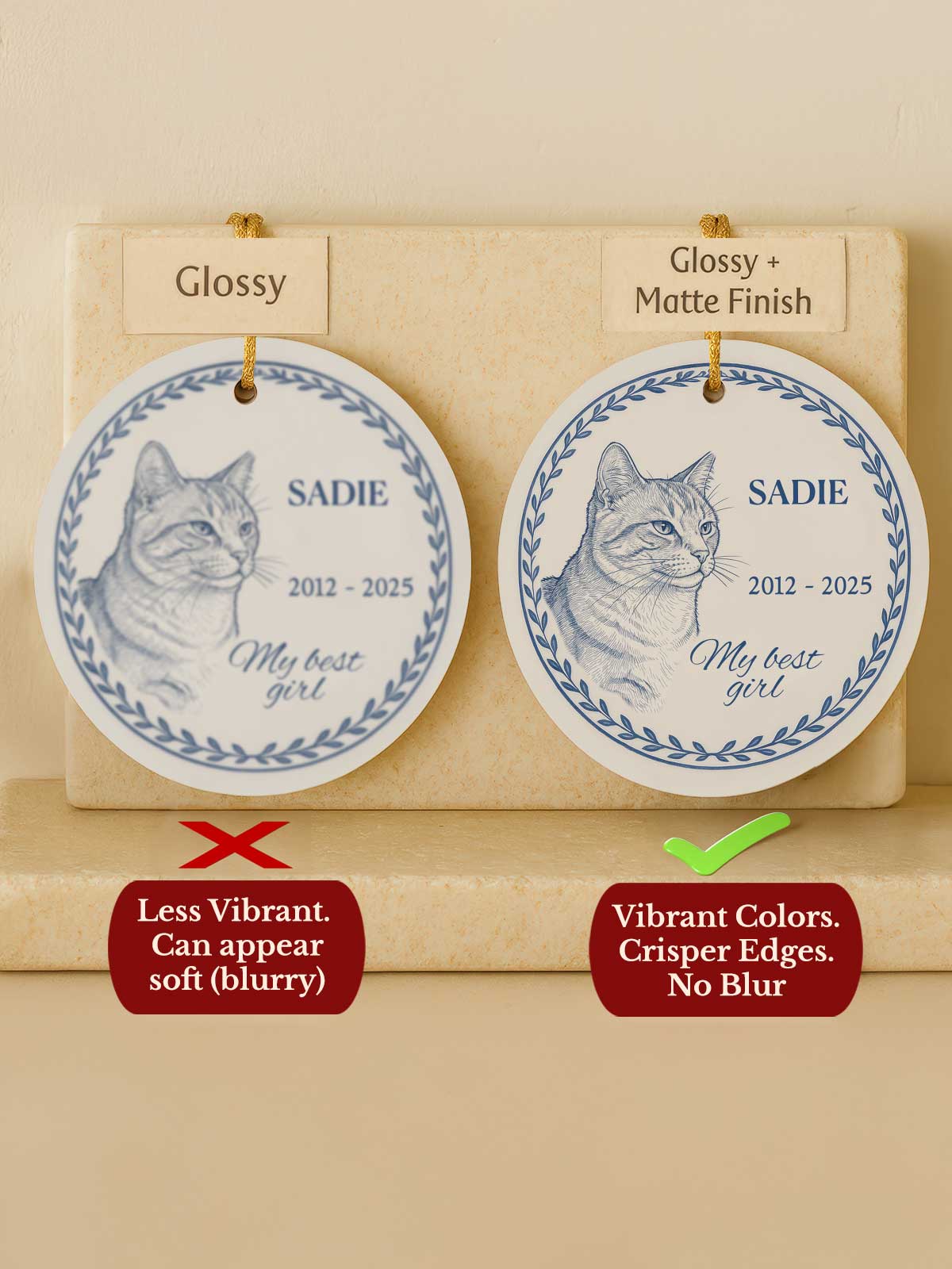 [2]-Main-3---Circle-Comparison