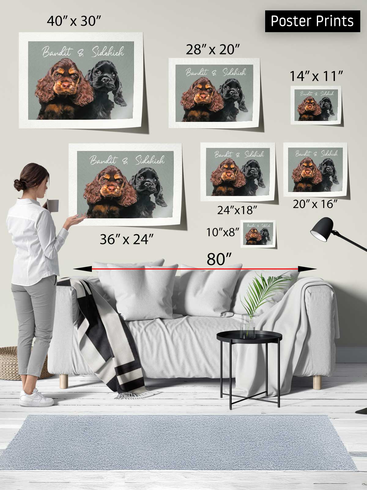 The image is a poster print display featuring a collage of images of two dogs, likely cocker spaniels, along with their sizes and dimensions.