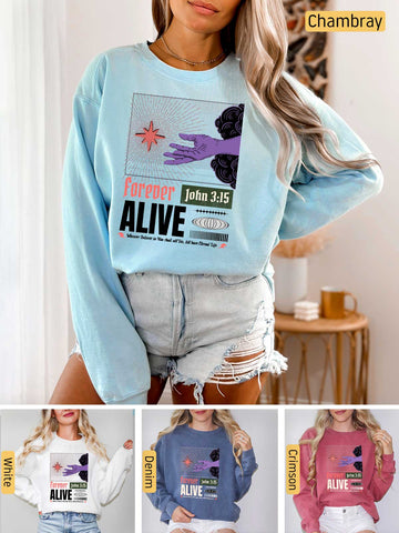 [33]-Main-6-CC-1566-(-Chambray)