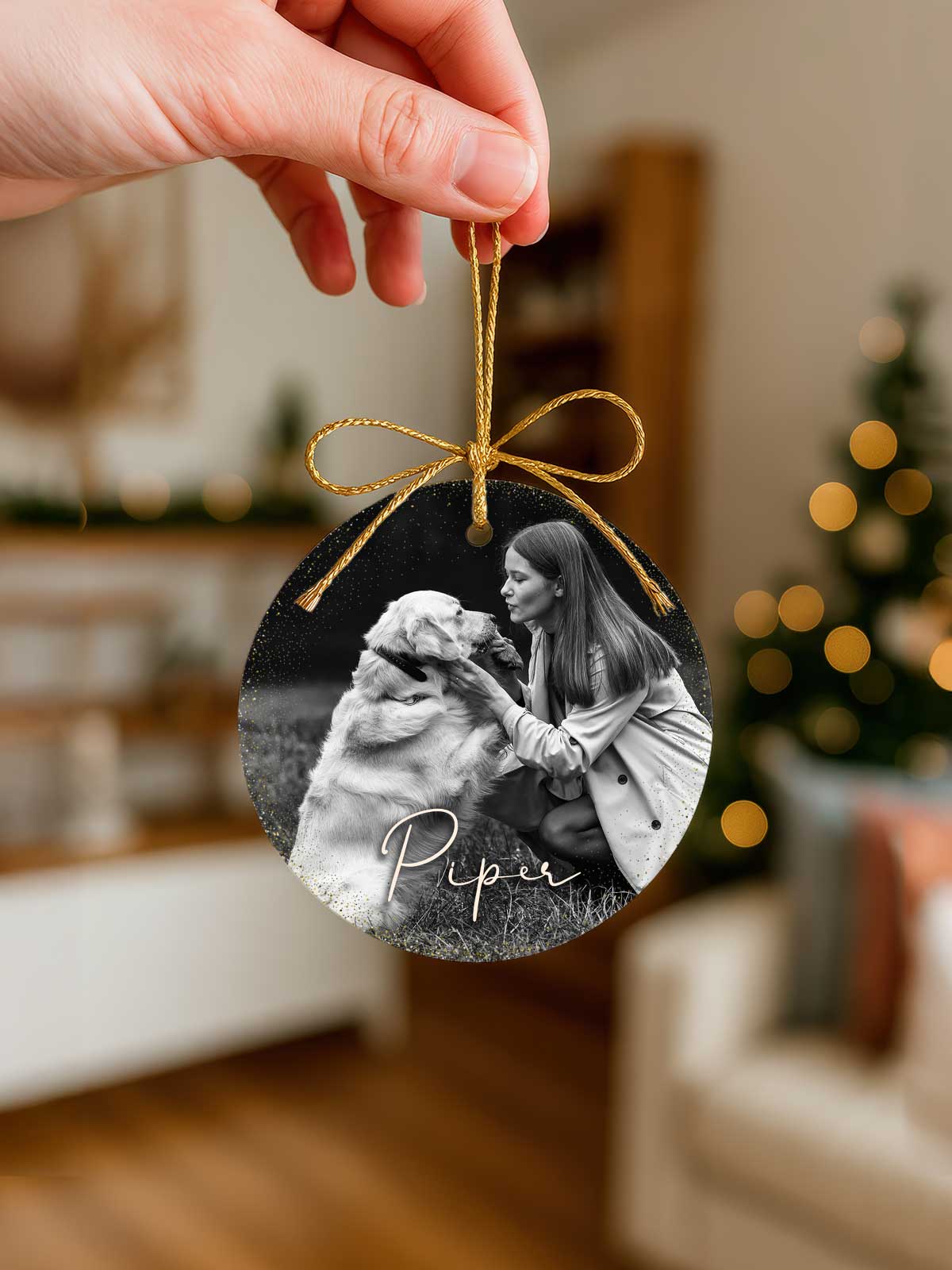 [4]-Main-5---Model---Cicle-V2