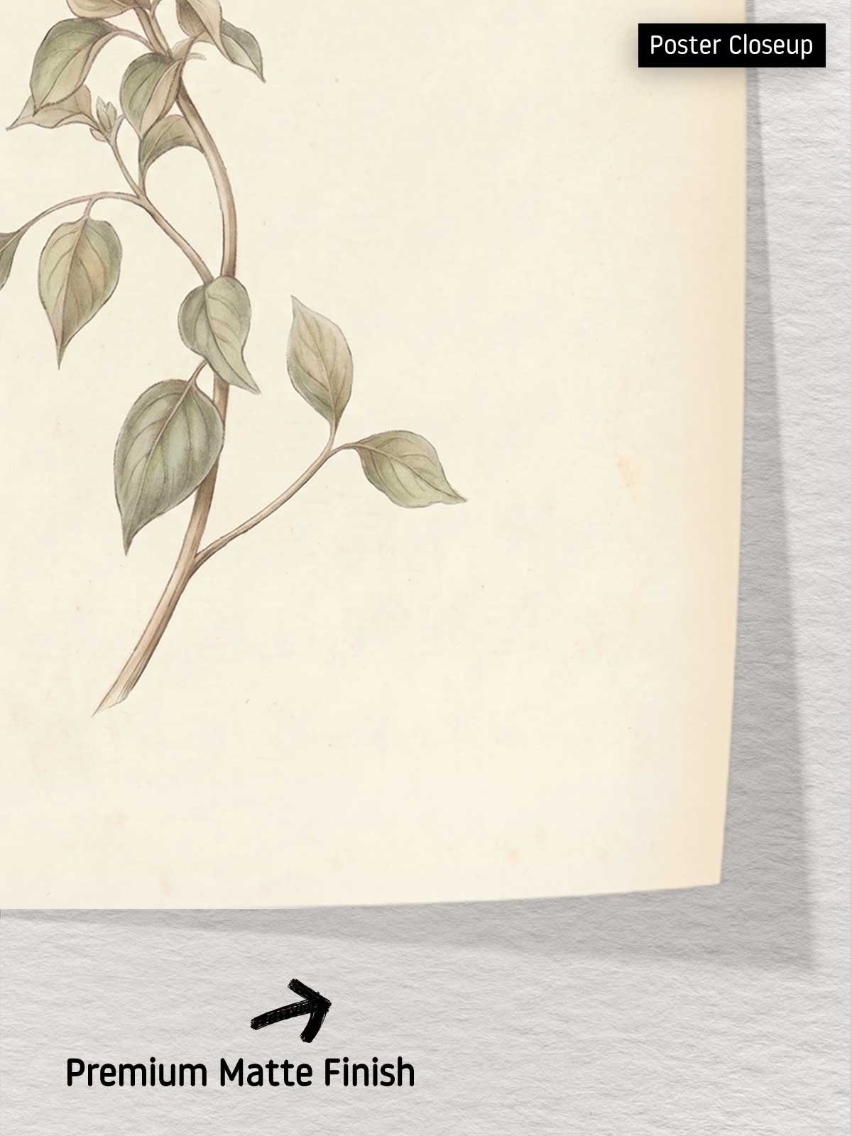 [6]--Poster-Print---CLOSEUP-2