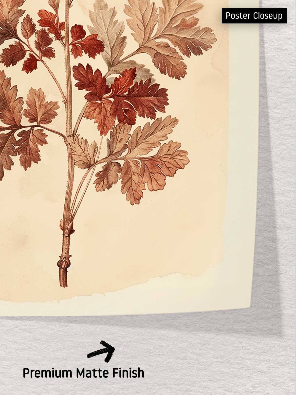 [6]--Poster-Print---CLOSEUP-2