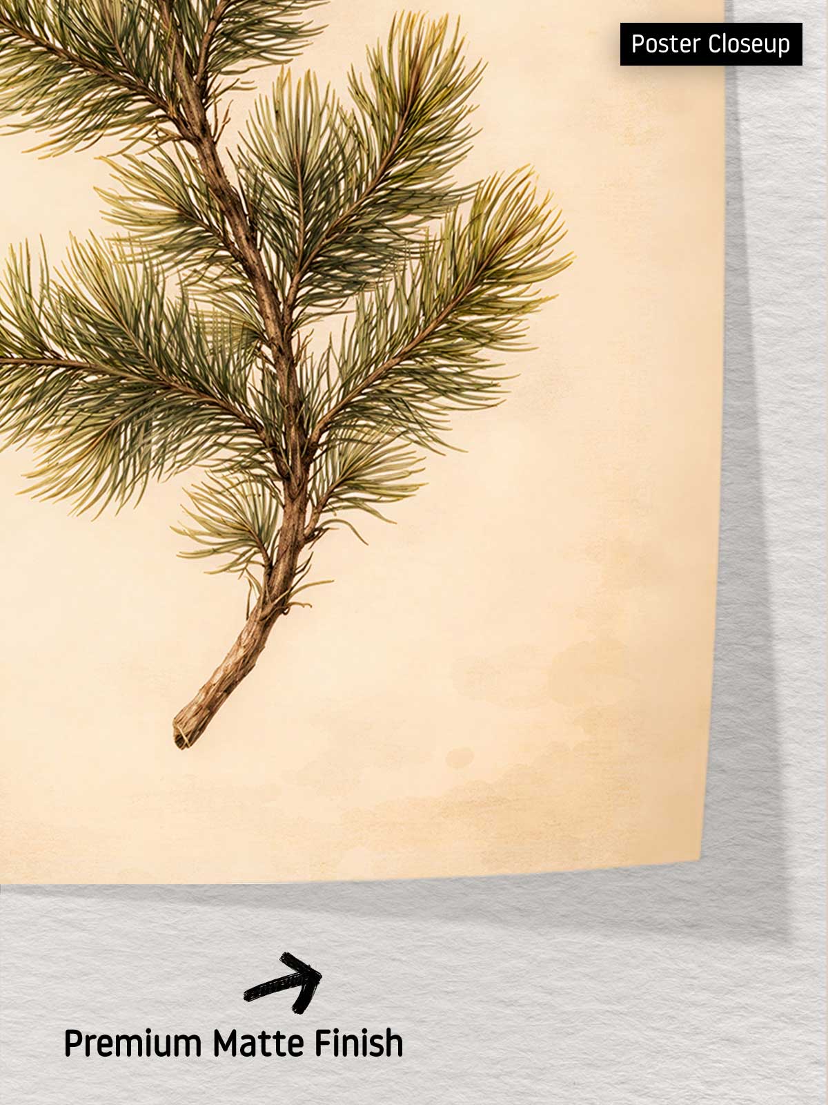 [6]--Poster-Print---CLOSEUP-2