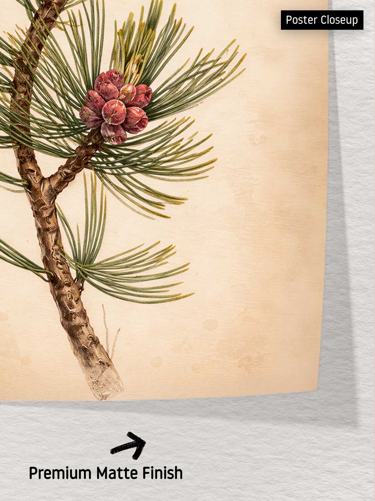[6]--Poster-Print---CLOSEUP-2