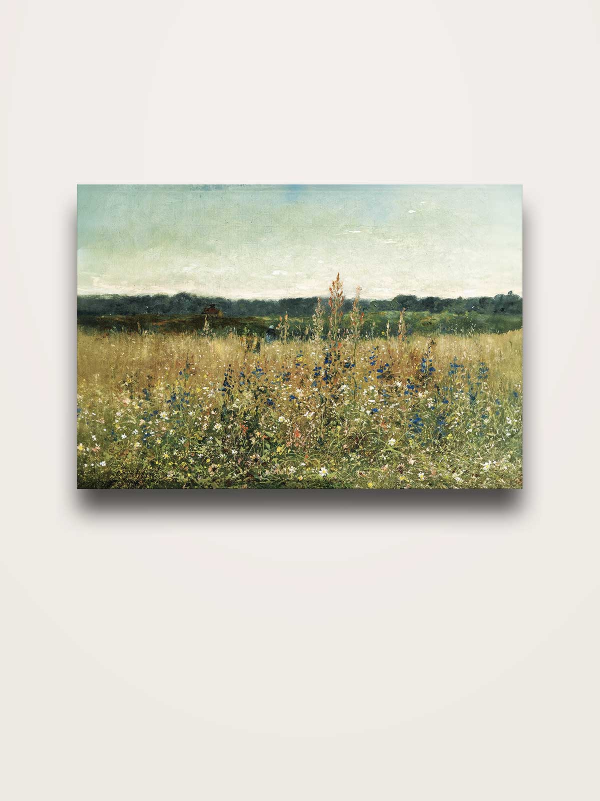 a serene landscape with a field of tall grass and wildflowers, set against a backdrop of a blue sky with wispy clouds.