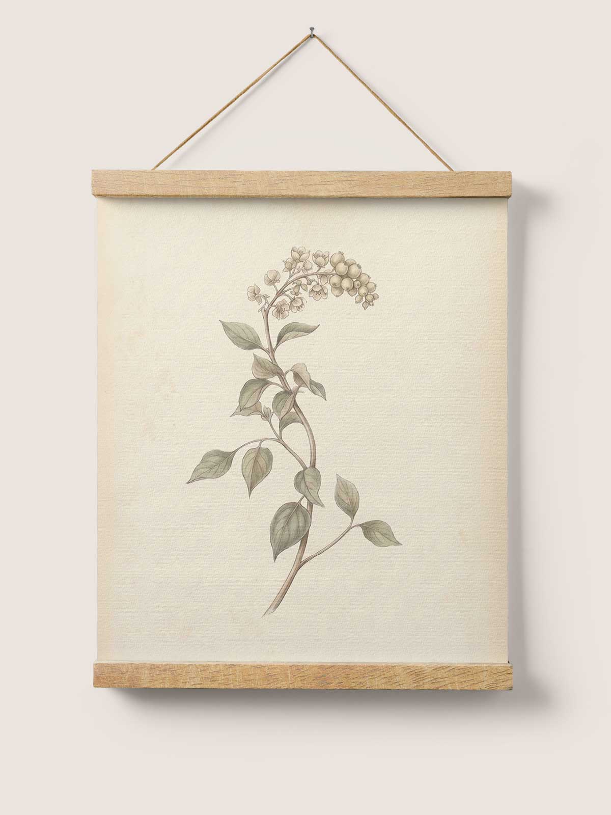 [8]-Main-Image-v5-(Hanging-Poster)