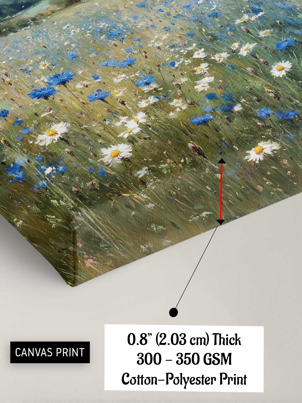 The image is a canvas print depicting a field of wildflowers, including blue and white flowers, with a red arrow pointing to the bottom right corner.