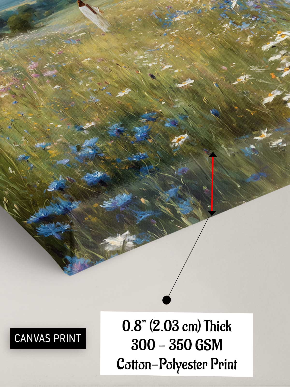 The image is a canvas print depicting a field of flowers with a red arrow pointing to a specific area.